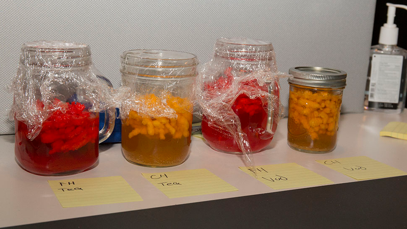 While these infused I often considered how the hand sanitizer would have tasted better. Image: Alex Cranz/Gizmodo